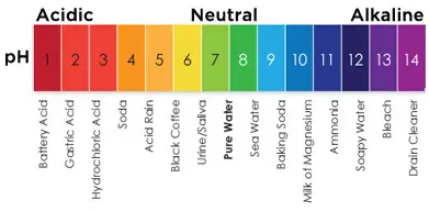 is tobacco acidic or alkaline vs  Why You Should Care Alkaline vs Acidic Foods! Our