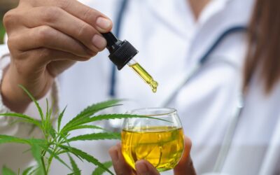 CBD Oil Stores: What to Know Before You Buy