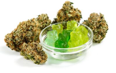 Why You Should Try CBD Gummies in 2022